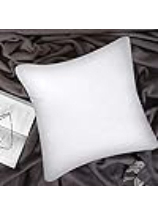PAUL SODA Regency Klub Cushion Filler, Non Woven 70gsm , 300grms, Size: 40 x 40cm , White