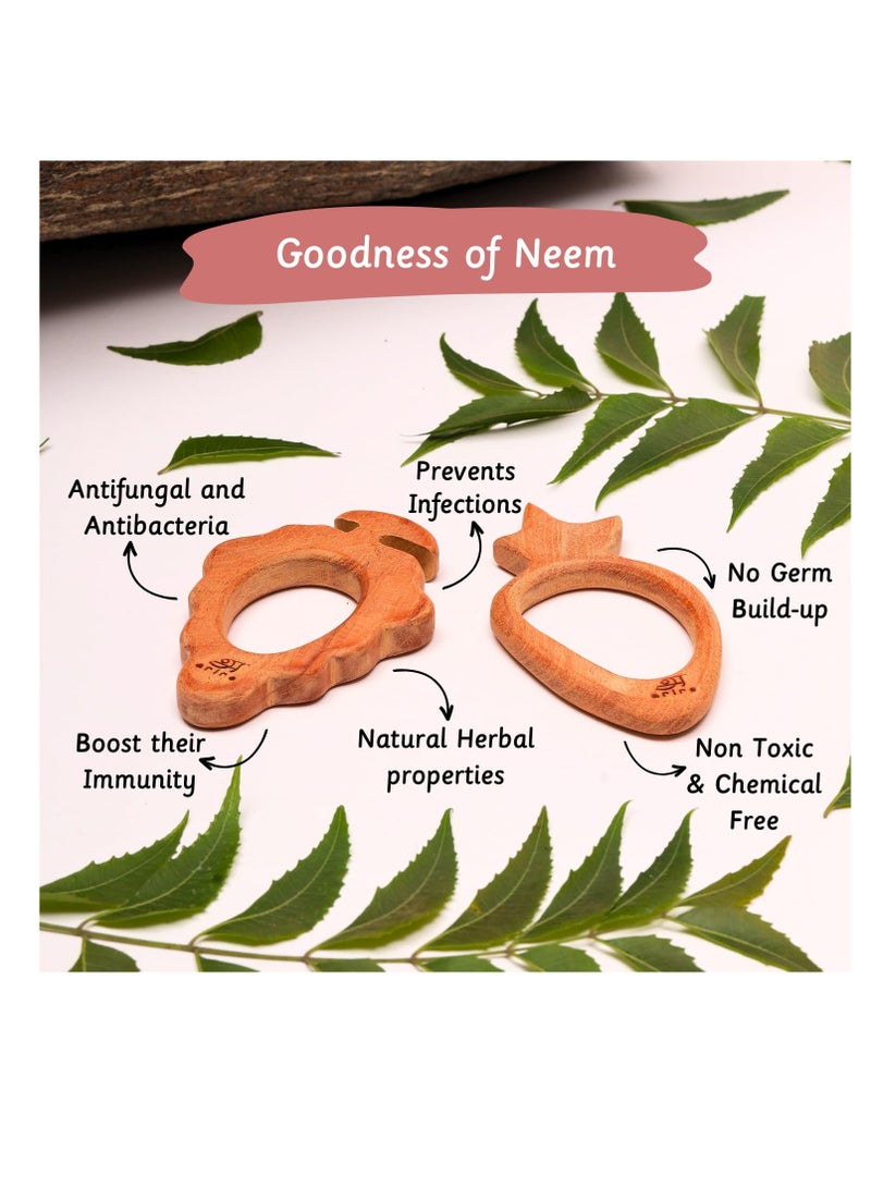 Ariro Neem Wooden Teethers - Grape and Carrot | Soothes Aching Gum, Aids Grasping | Hand-Crafted with Organic Neem Wood | Boost Immunity | Easy to Grasp & Chew