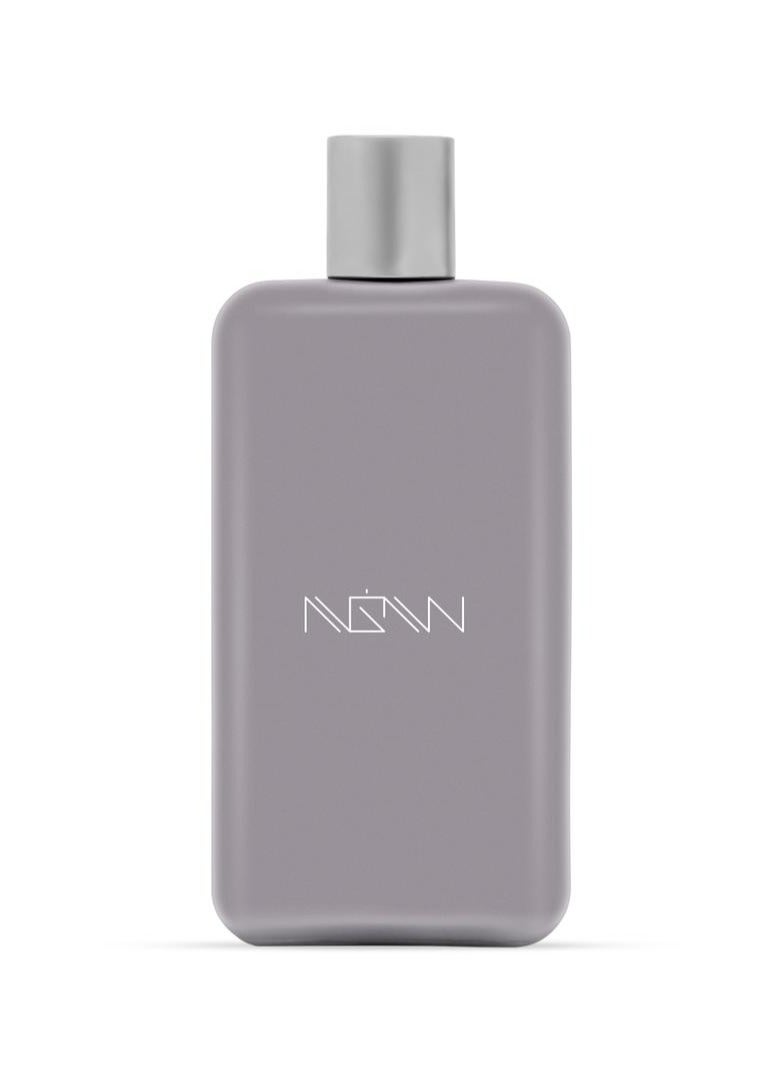 NGW Silver Eau De Parfum 100ML For Men & Women