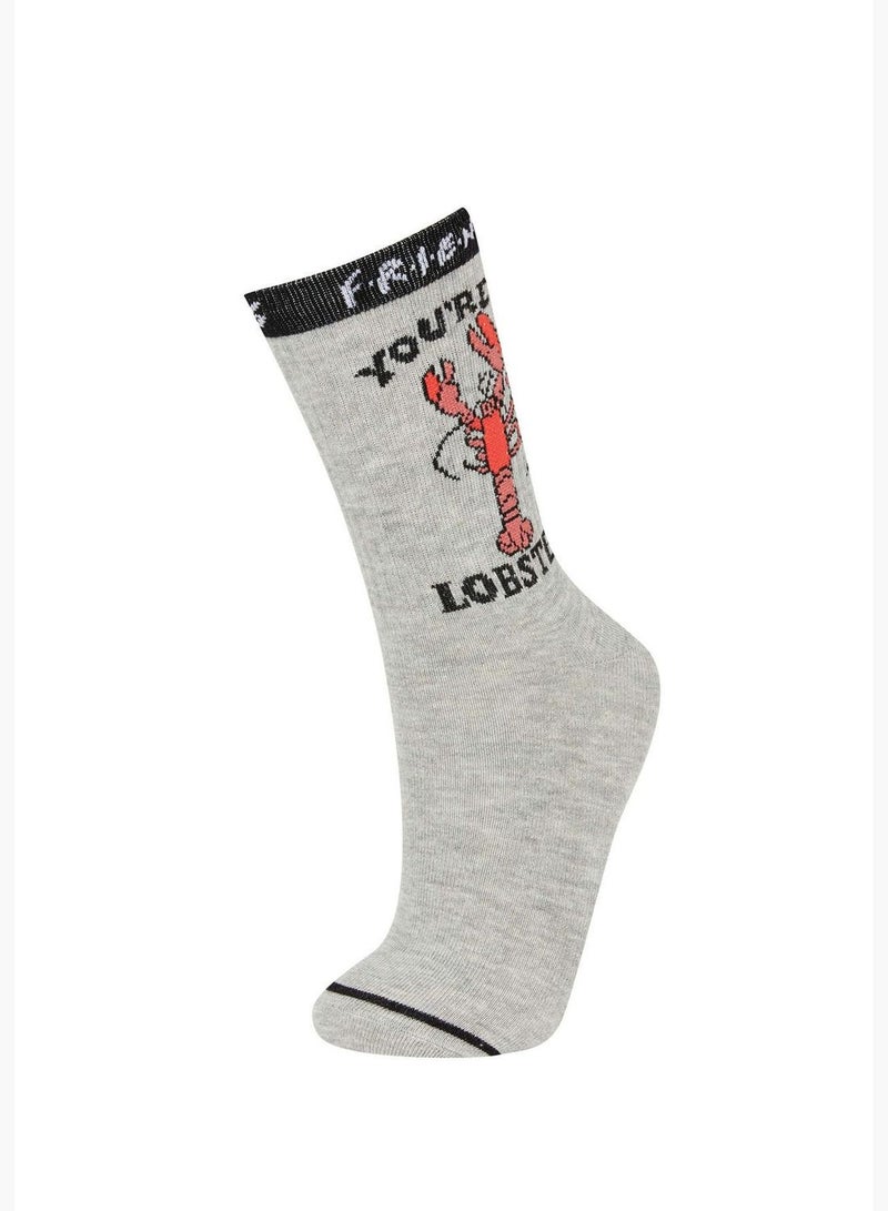 2 Pack Woman Friends Licenced Socks