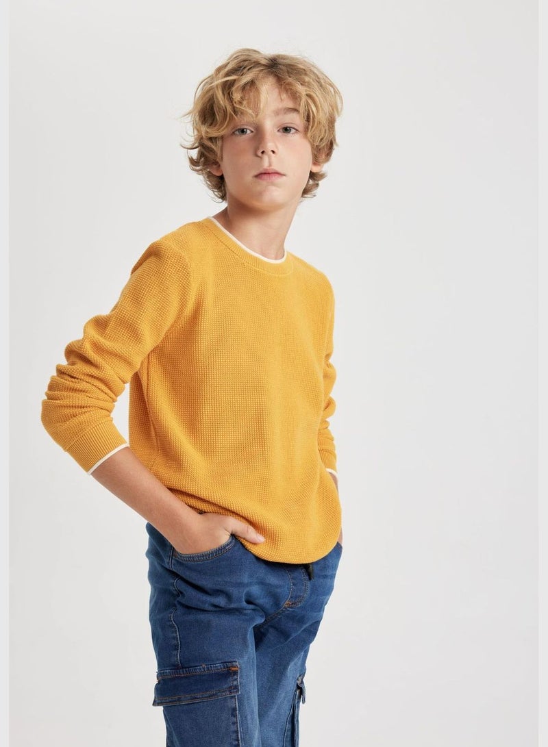 Boy Regular Fit Crew Neck Pullover