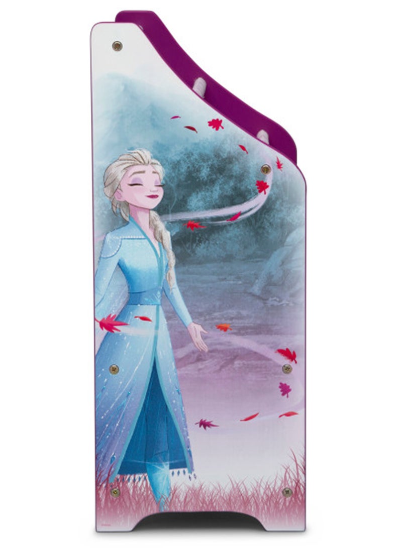 Frozen II Toy And Book Organizer