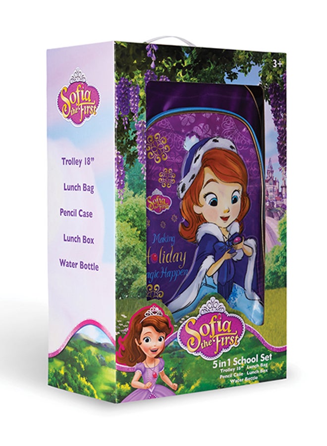 5 In 1 Disney Sofia Making Holiday Magic Happen  Trolley Box Set, 18 inches