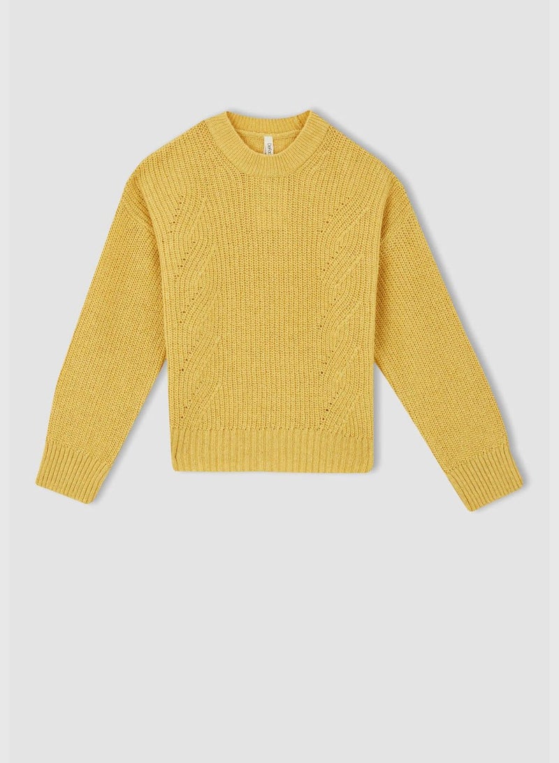 Regular Fit Long Sleeve Turtleneck Knit Sweater
