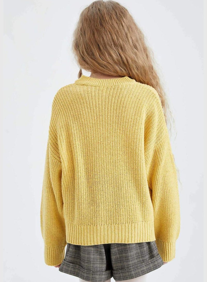 Regular Fit Long Sleeve Turtleneck Knit Sweater