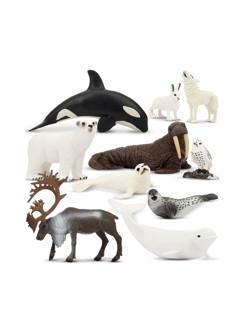 10Pcs Realistic Polar Animal Figurines Plastic Arctic Set Includes Bear Caribou Whales Walrus Cake Toppers Birthday Toy Gift for Kids Toddlers