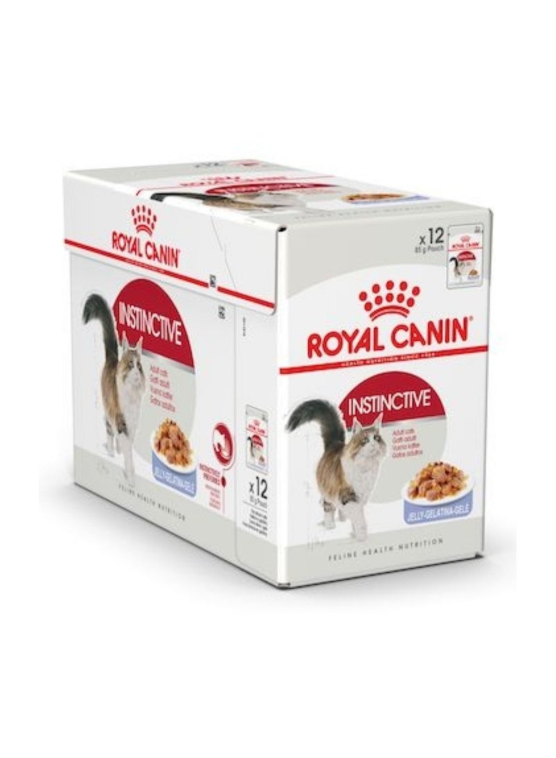 Royal Canin Feline Health Nutrition Instinctive Cats Jelly 85G pack of 12