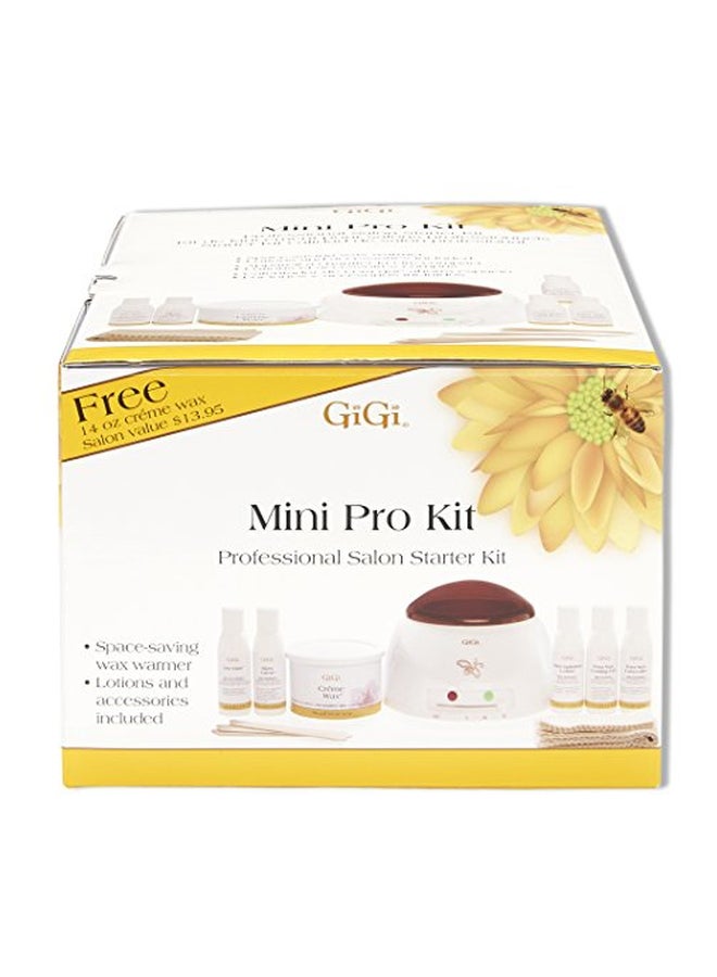 Mini Pro Hair Removal Waxing Kit Multicolour