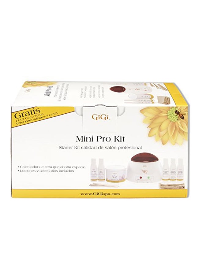 Mini Pro Hair Removal Waxing Kit Multicolour