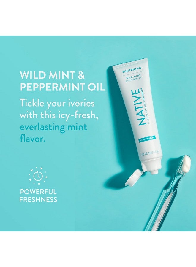 Toothpaste Made From Naturallyderived Cleaners And Simple Ingredients That Safely Whitens Teeth 4.1 Oz Wild Mint With Fluoride 1 Count