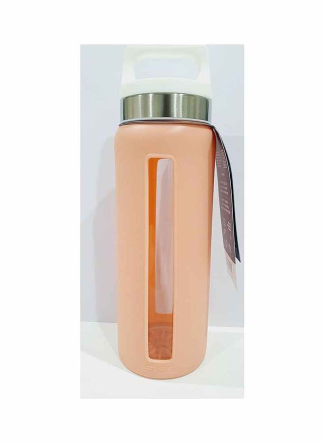 Dream  Water Bottle Pink