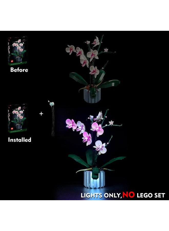 Led Light Kit For Lego Orchid 10311 Lighting Set Compatible With Lego 10311 Artificial Plant Building Set With Flowers (Lego Model Not Included) Gift For Lego Botanical Diy Fans