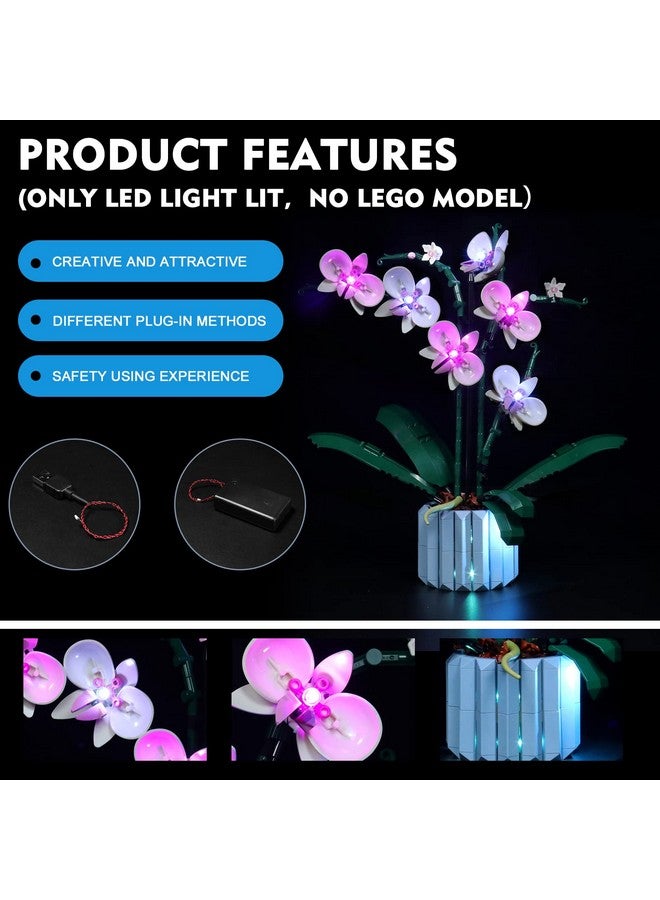 Led Light Kit For Lego Orchid 10311 Lighting Set Compatible With Lego 10311 Artificial Plant Building Set With Flowers (Lego Model Not Included) Gift For Lego Botanical Diy Fans