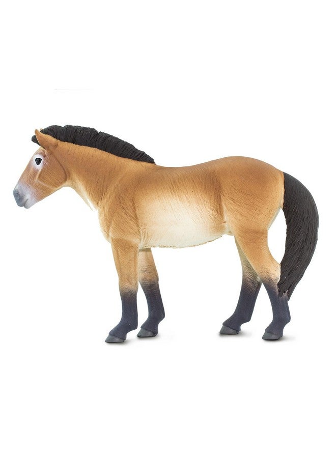 Przewalski'S Horse Figurine Lifelike 5