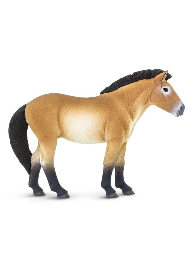 Przewalski'S Horse Figurine Lifelike 5