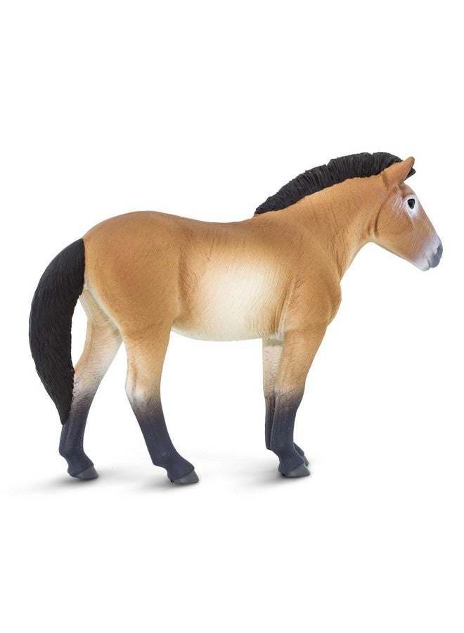 Przewalski'S Horse Figurine Lifelike 5