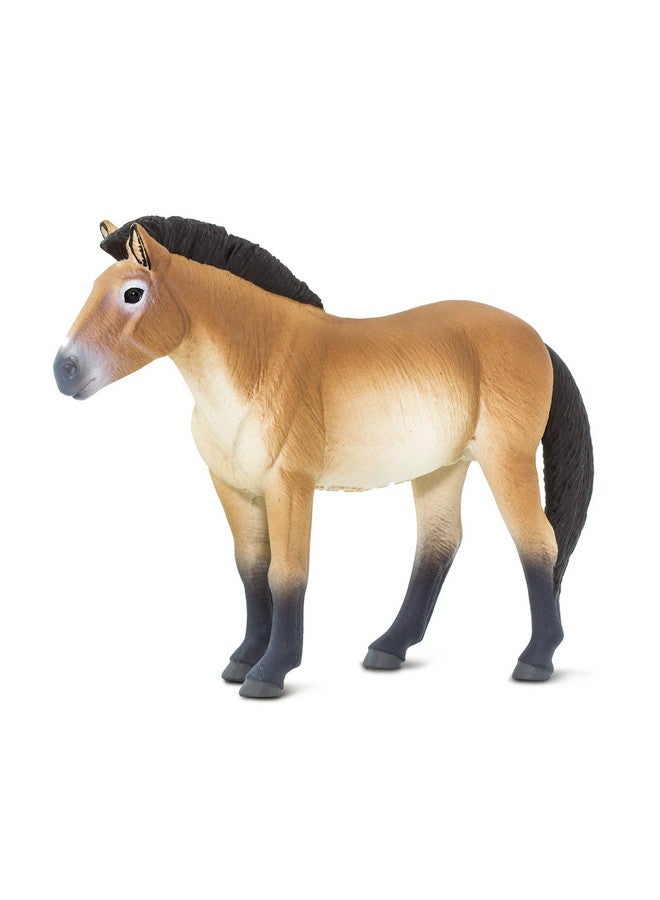 Przewalski'S Horse Figurine Lifelike 5