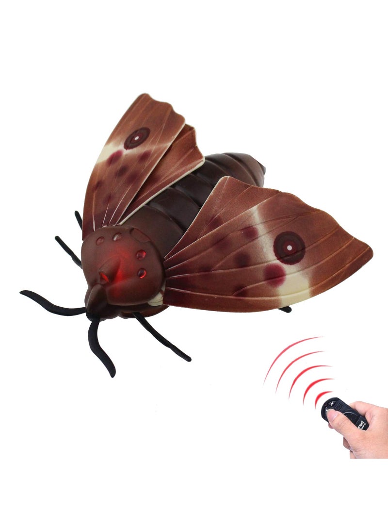 Moth Animal Remote Controlled Car Vehicle Toy Electric Insect Kids Toy Gift