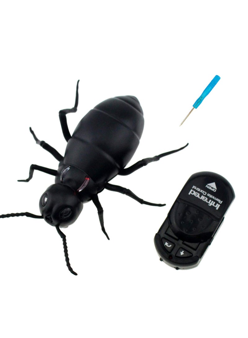 Remote Control Ant RC Car Vehicle Animal Electric Insect 6 Years Plus Kids Toy
