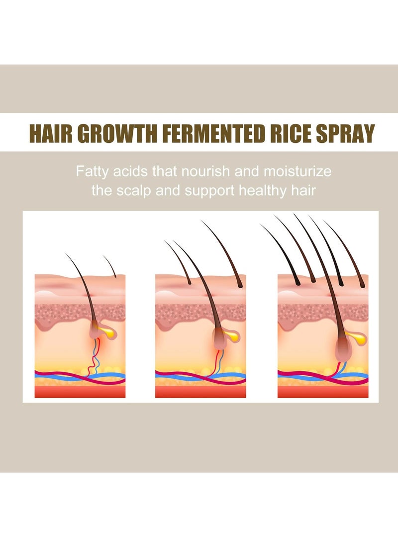 Fast Hair Growth Spray, 120ml Rice Water For Hair, Moisturizing Fermented Rice Hair Spray, Convenient And Portable Anti Hair Loss Treatment Serum For Hair Repair