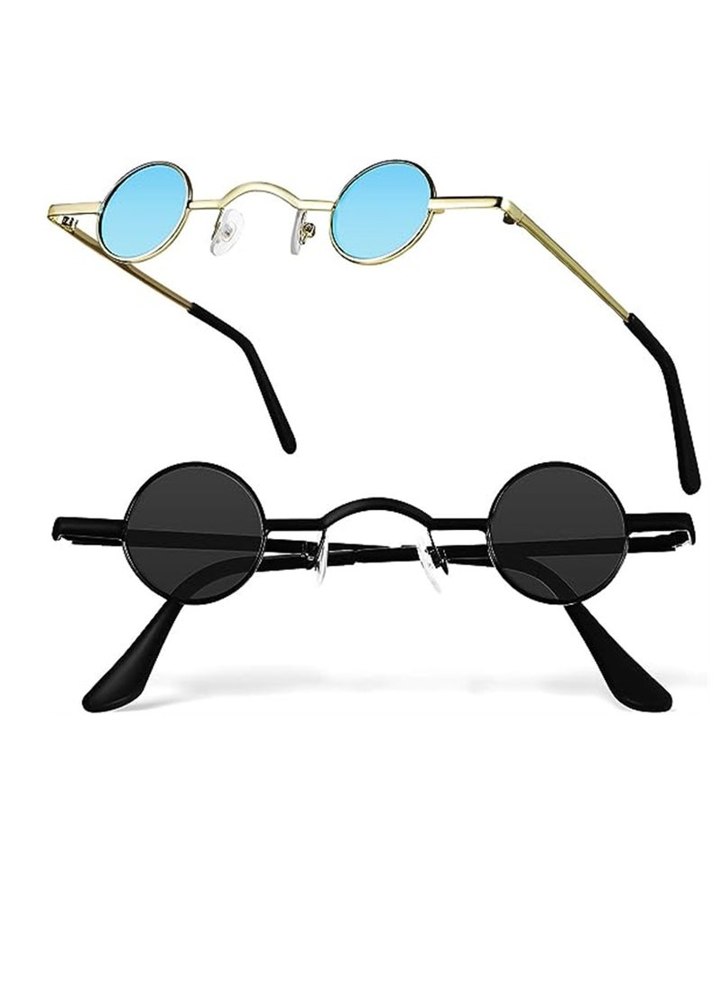 Round Sunglasses, Small Cool Round Glasses for Women Men, Polarized Sunglasses Metal Frame Retro Circle Sunglasses, for Women Photo Props, 2 Pcs, 2 Colors