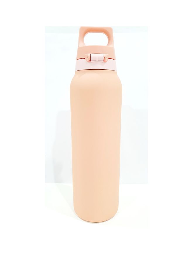 Stainless Steel Thermo Flask Hot & Cold Shy Pink