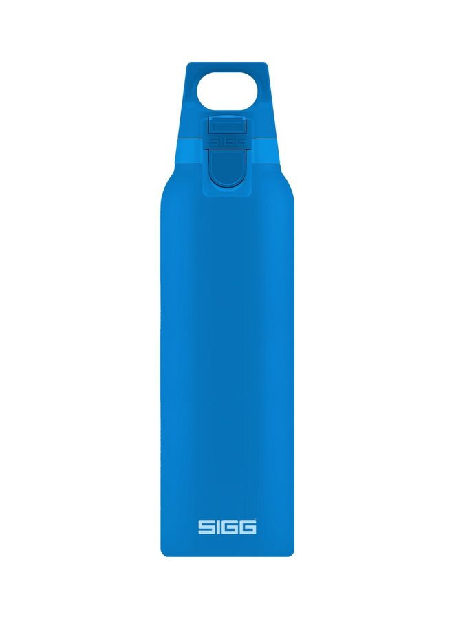 Stainless Steel Thermo Flask Hot & Cold Blue