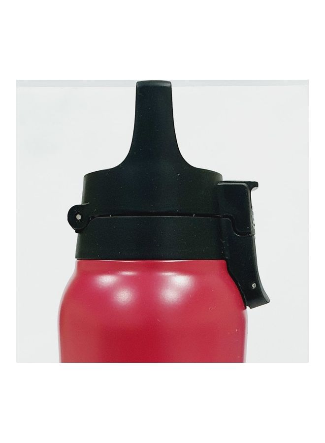 Stainless Steel Thermo Flask Hot & Cold Deep Magenta