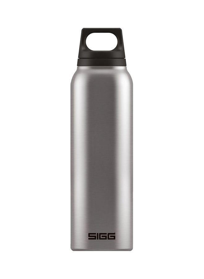 Stainless Steel Hot & Cold Thermo Flask With Tea Filter Brushed