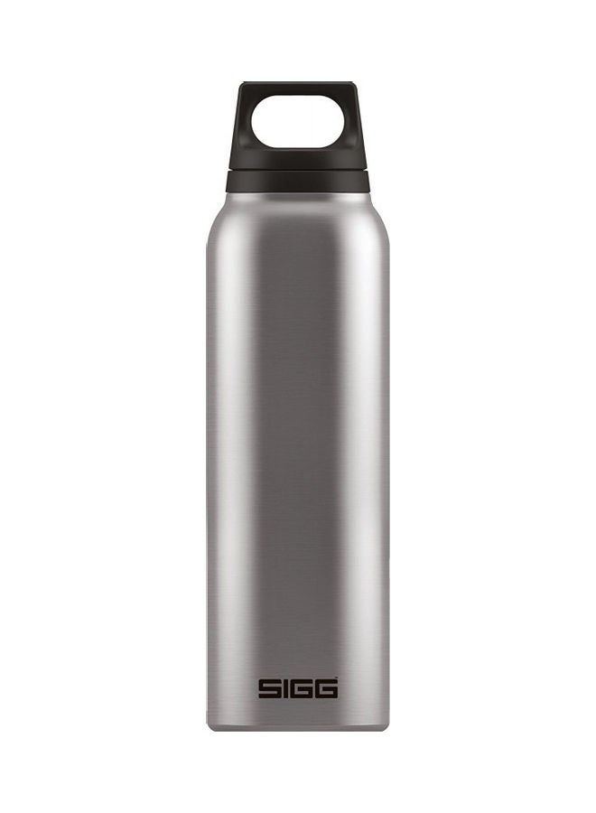 Stainless Steel Hot & Cold Thermo Flask With Tea Filter Brushed