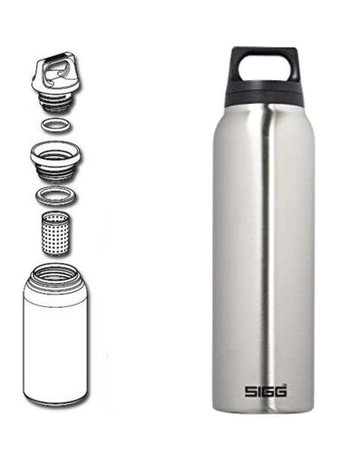 Stainless Steel Hot & Cold Thermo Flask With Tea Filter Brushed