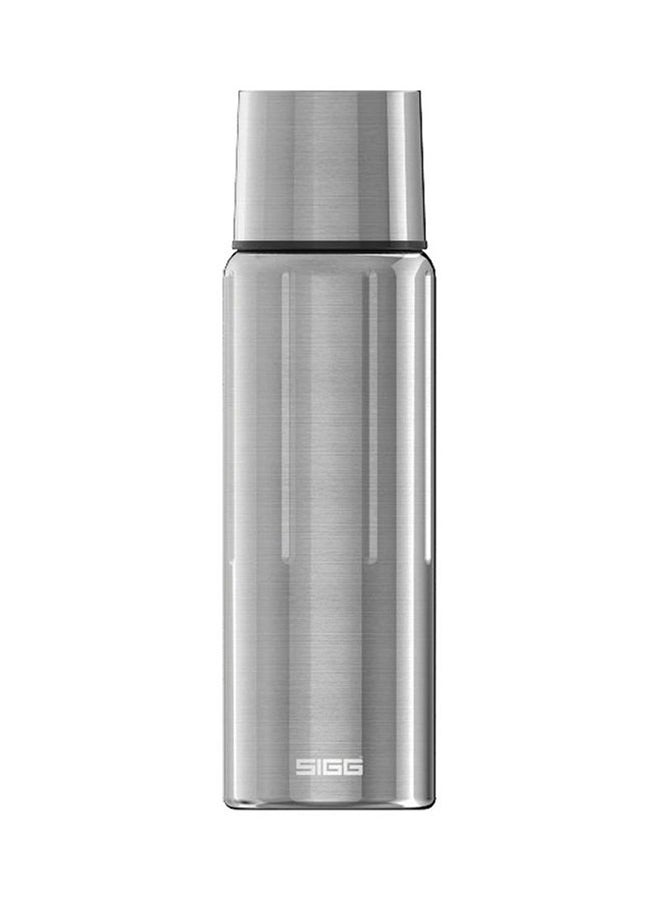 Stainless Steel  Thermo Flask Silver