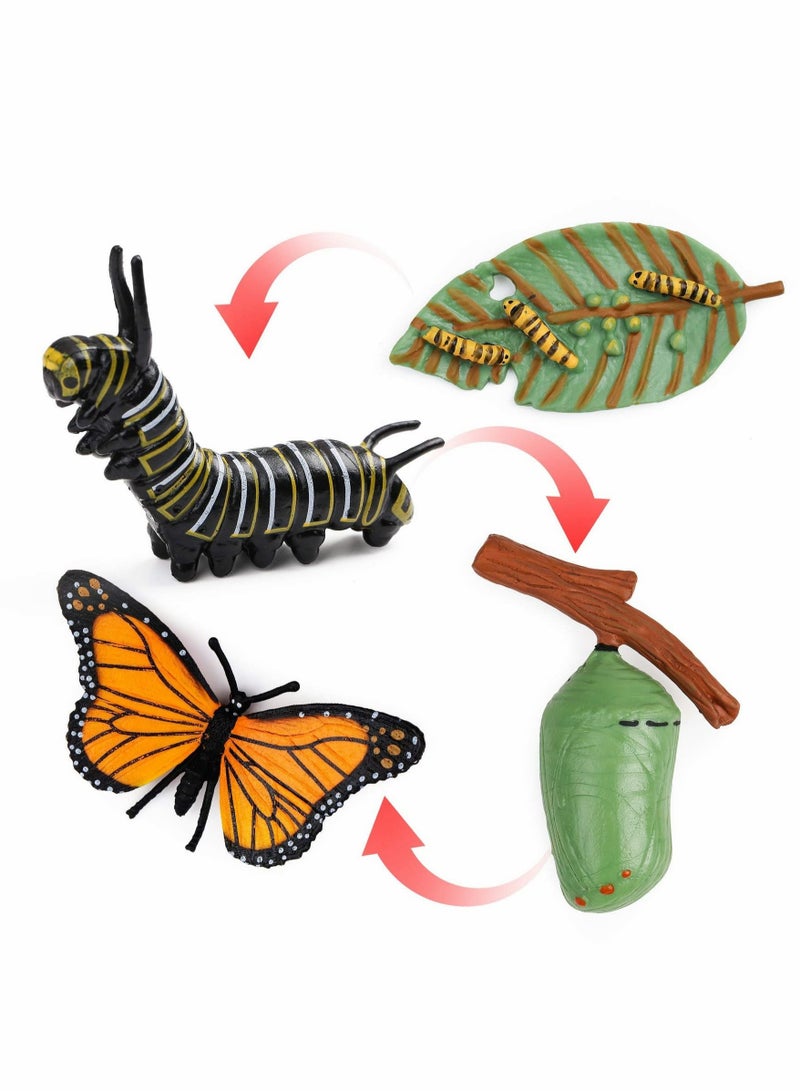 Butterfly Life Cycle Kit Lifestyle Stages of Monarch Butterfly Teaching Tools for Kids, Students