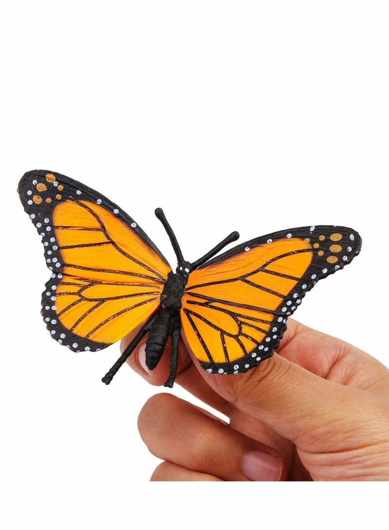 Butterfly Life Cycle Kit Lifestyle Stages of Monarch Butterfly Teaching Tools for Kids, Students