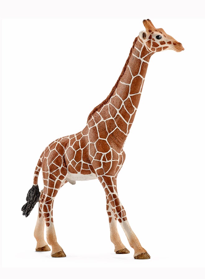 Male Giraffe Toy Figure