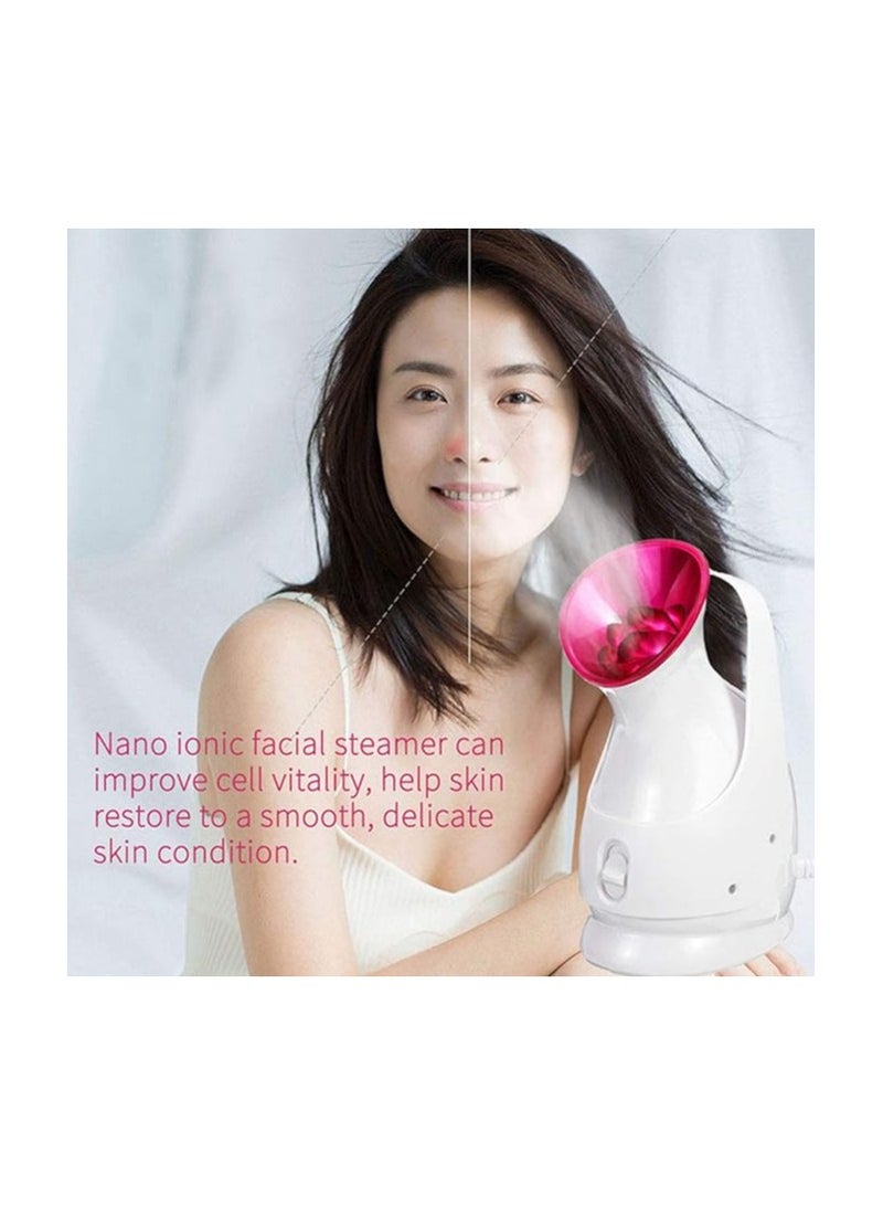 Pro Household nano care Ionic Mini Facial Steamer Facial Spa Personal Beauty Face Care