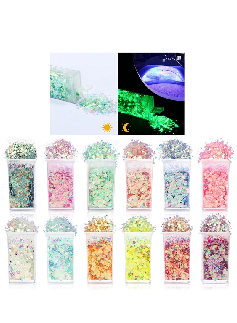 Chunky Glitter for Makeup, Glow in The Dark Glitter, Eleanore's Diary 12 Colors Art Luminous Chunky Glitter Sequins for Resin Nail Body Face Party Decor or Card Making Carnival Rave Craft Glitter Set