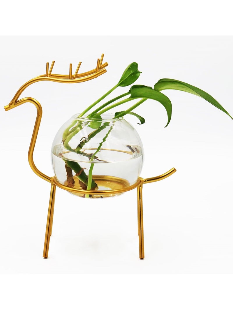 Air Plant Terrarium with Metal Stand for Desktop - Glass Vase for Indoor Hydroponics, Ideal for Home Garden and Office Decor