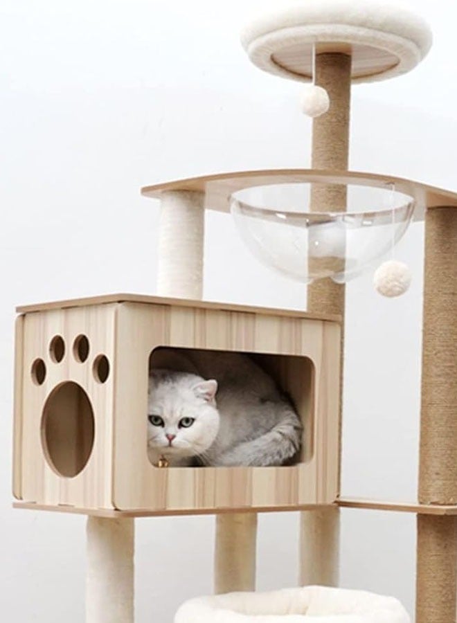 Multi-Level Kitten Play Tree with Scratching Post and Ladder