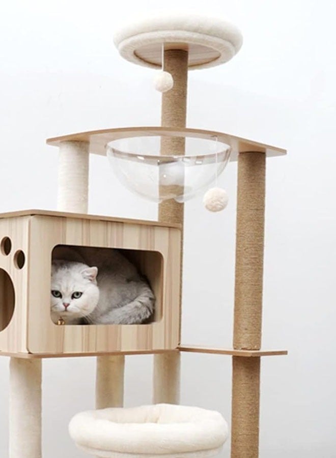 Multi-Level Kitten Play Tree with Scratching Post and Ladder