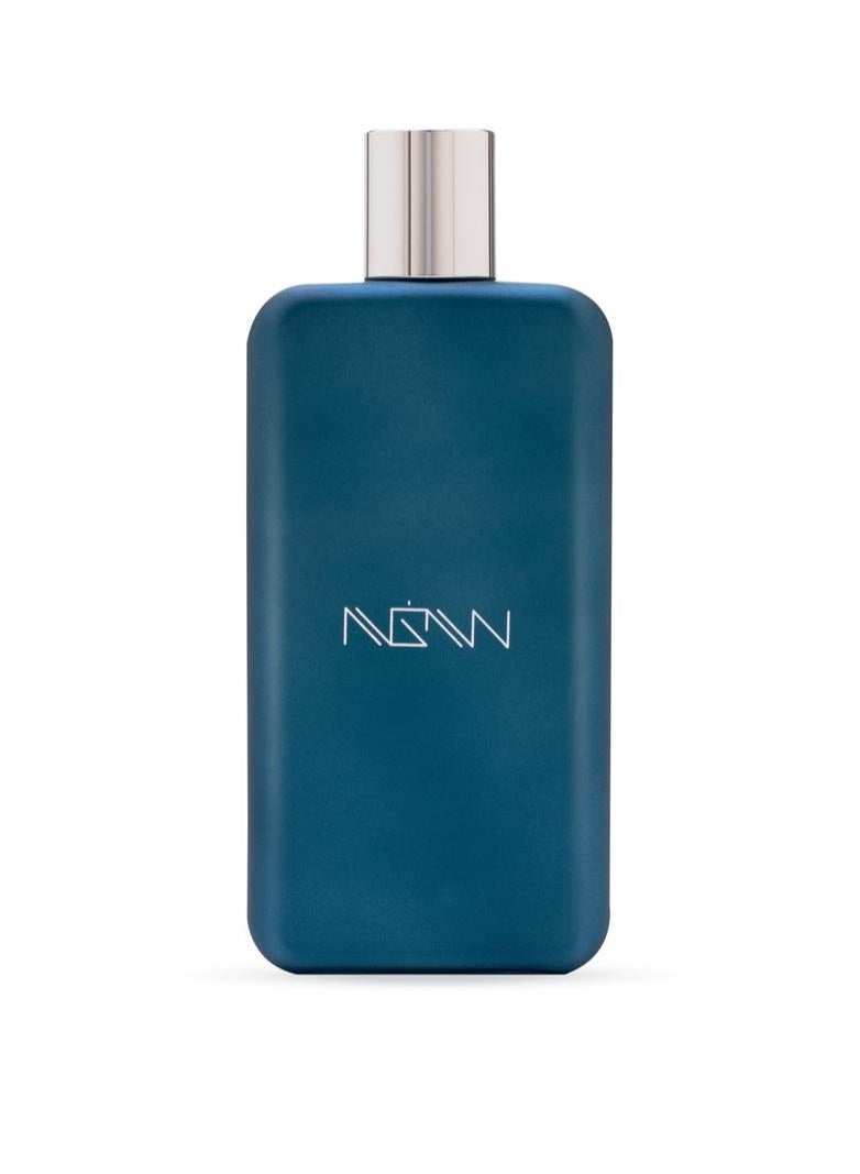 NGW Blue Eau De Parfum 100ML For  Men