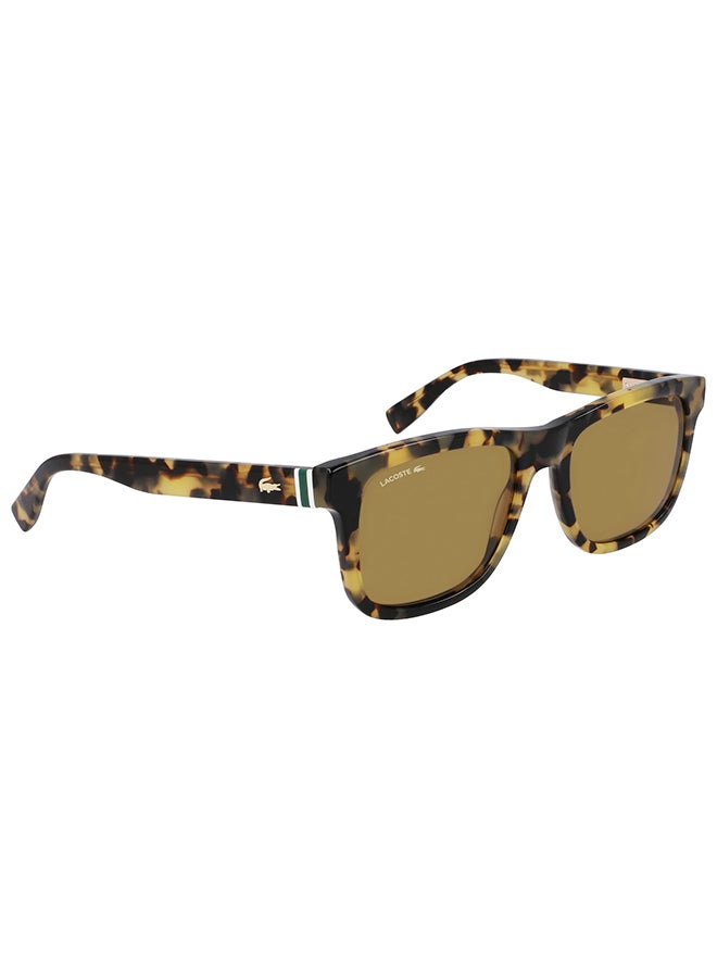 Men's UV Protection Rectangular Sunglasses - L6014S-220-5519 - Lens Size: 55 Mm