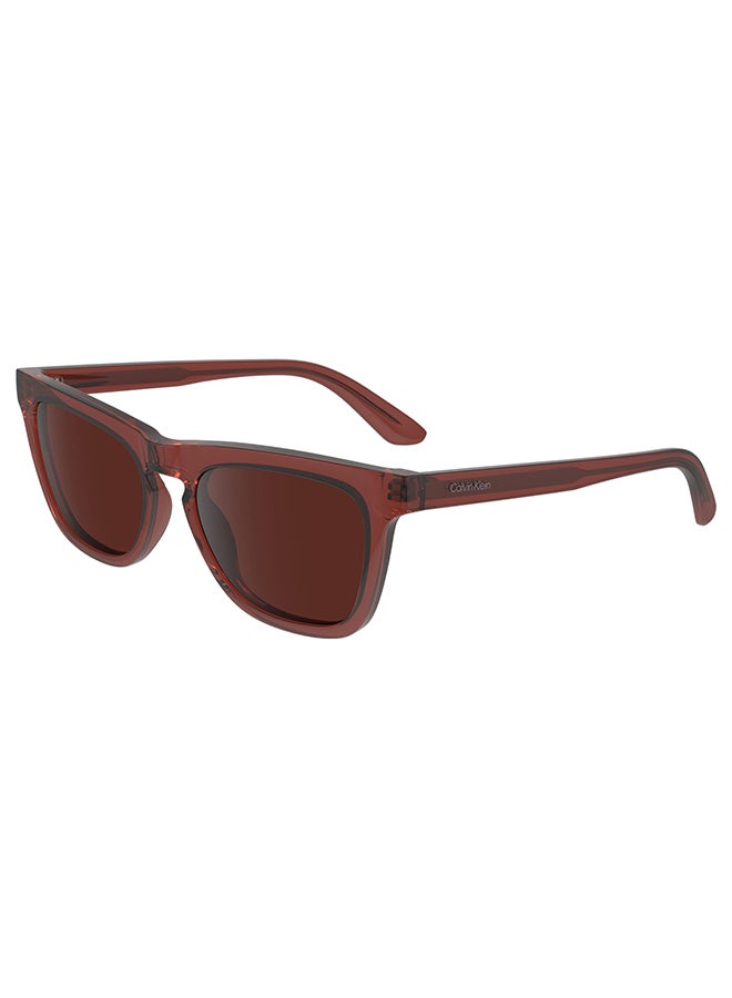 Women's UV Protection Butterfly Sunglasses - CK23535S-604-5318 - Lens Size: 53 Mm