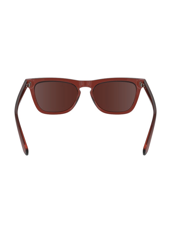 Women's UV Protection Butterfly Sunglasses - CK23535S-604-5318 - Lens Size: 53 Mm