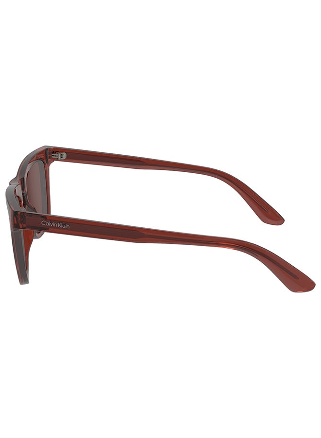 Women's UV Protection Butterfly Sunglasses - CK23535S-604-5318 - Lens Size: 53 Mm