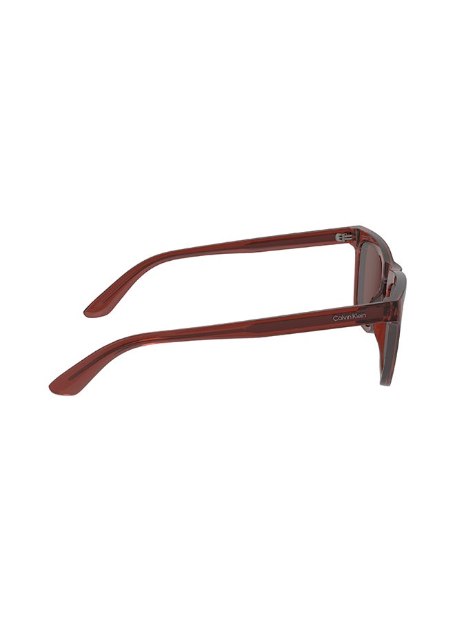 Women's UV Protection Butterfly Sunglasses - CK23535S-604-5318 - Lens Size: 53 Mm