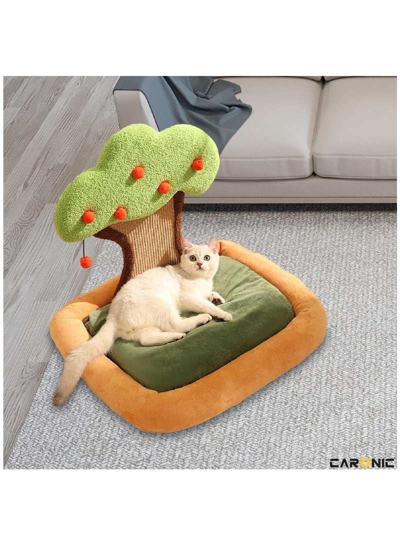 Bed Cat Lounger And Scratch Pad Washable Pet Mattress Cat Bed For Large And Small Pets Home