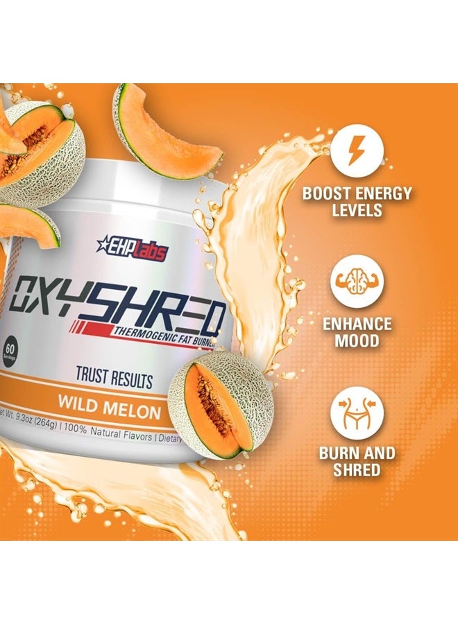 OxyShred Pre Workout Powder & Shredding Supplement - Preworkout Powder with L Glutamine & Acetyl L Carnitine, Energy Boost Drink - Wild Melon, 60 Servings