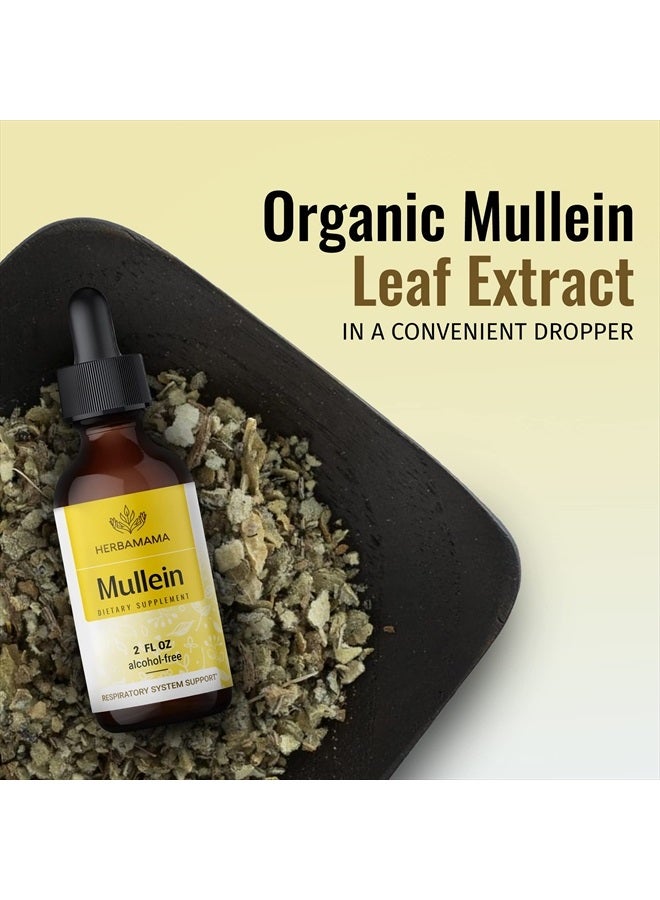 Mullein Leaf Tincture - Lung Cleanse - Vegan Lung Detox - Respiratory Health and Immune Support Drops - Natural Supplement Liquid Extract 2 fl.oz.