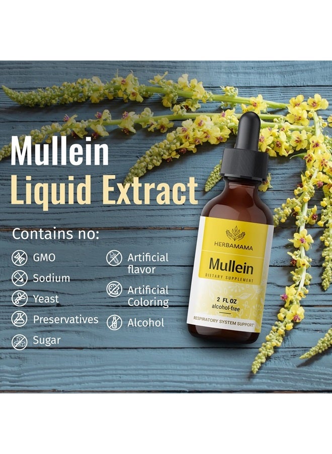 Mullein Leaf Tincture - Lung Cleanse - Vegan Lung Detox - Respiratory Health and Immune Support Drops - Natural Supplement Liquid Extract 2 fl.oz.